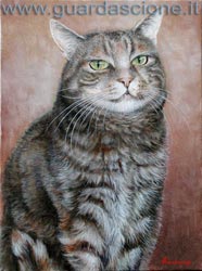 ritratti di gatti